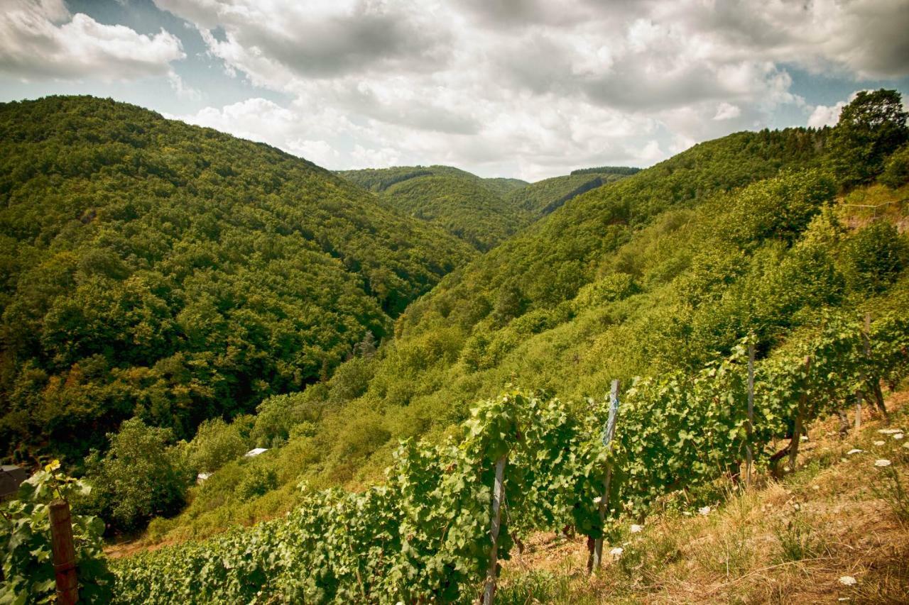 Ferienwohnungen Lithos Oberwesel Exterior foto